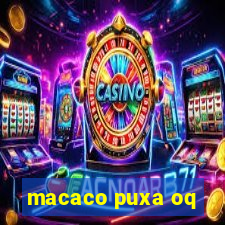 macaco puxa oq